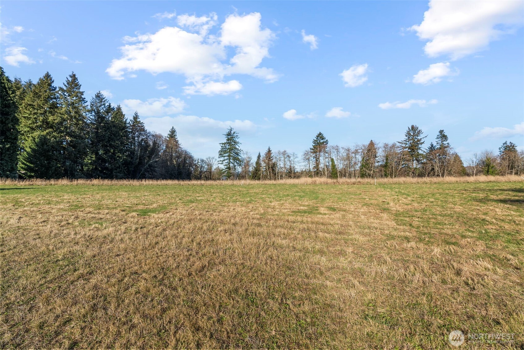 50 Sunnyfield Drive Property Photo 3