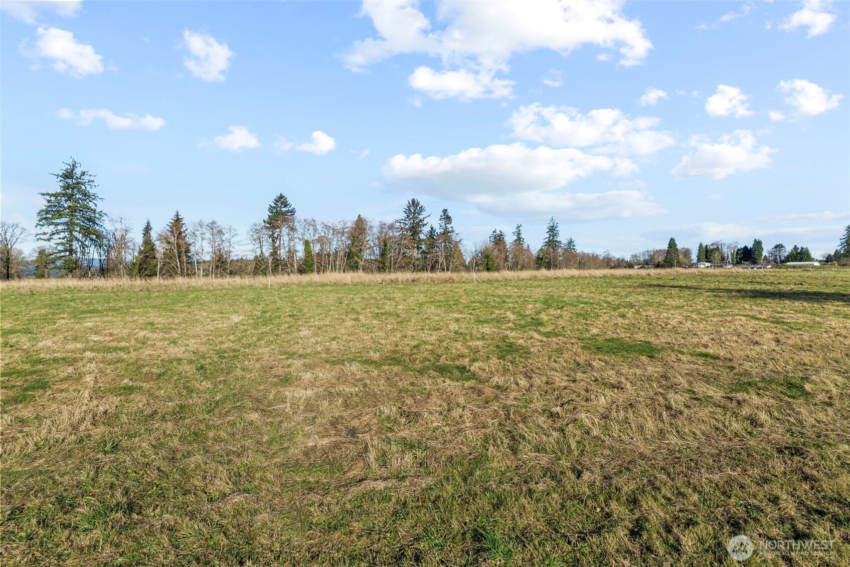 50 Sunnyfield Drive Property Photo 4