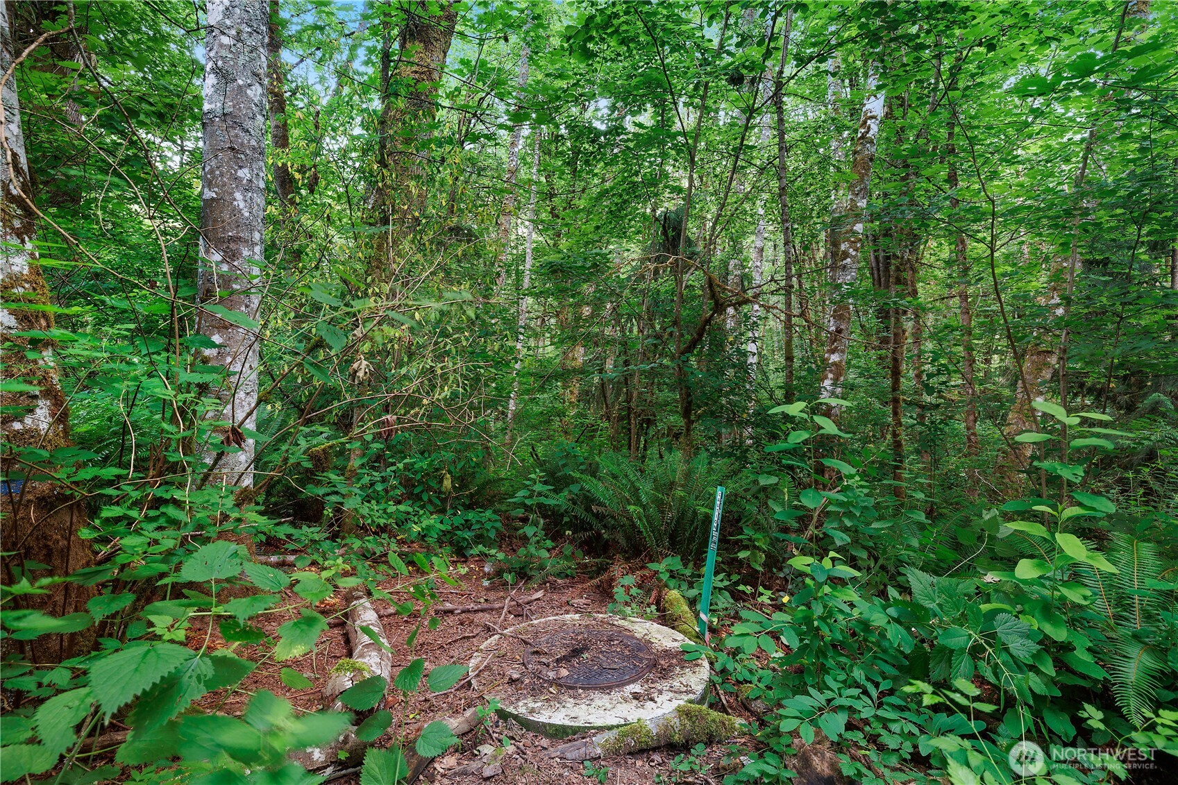 1511 Fairview Street Property Photo 1