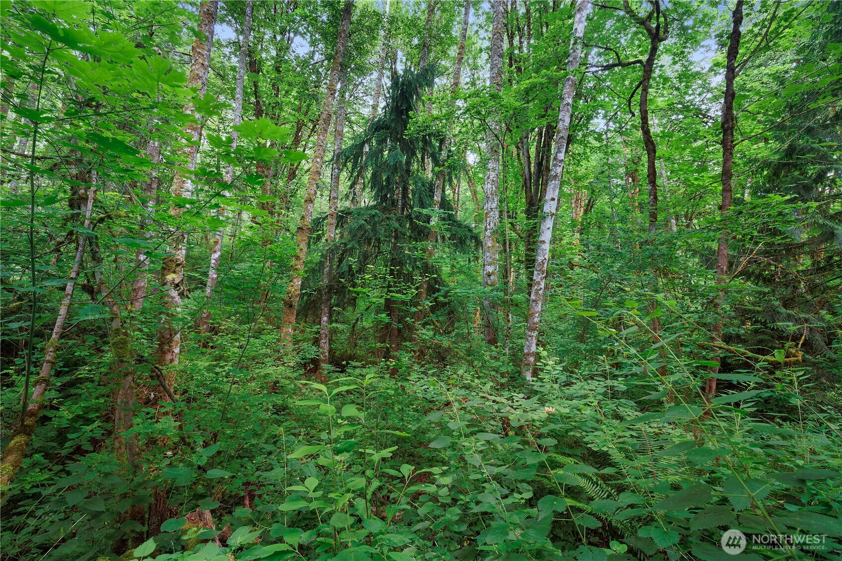 1511 Fairview Street Property Photo 2