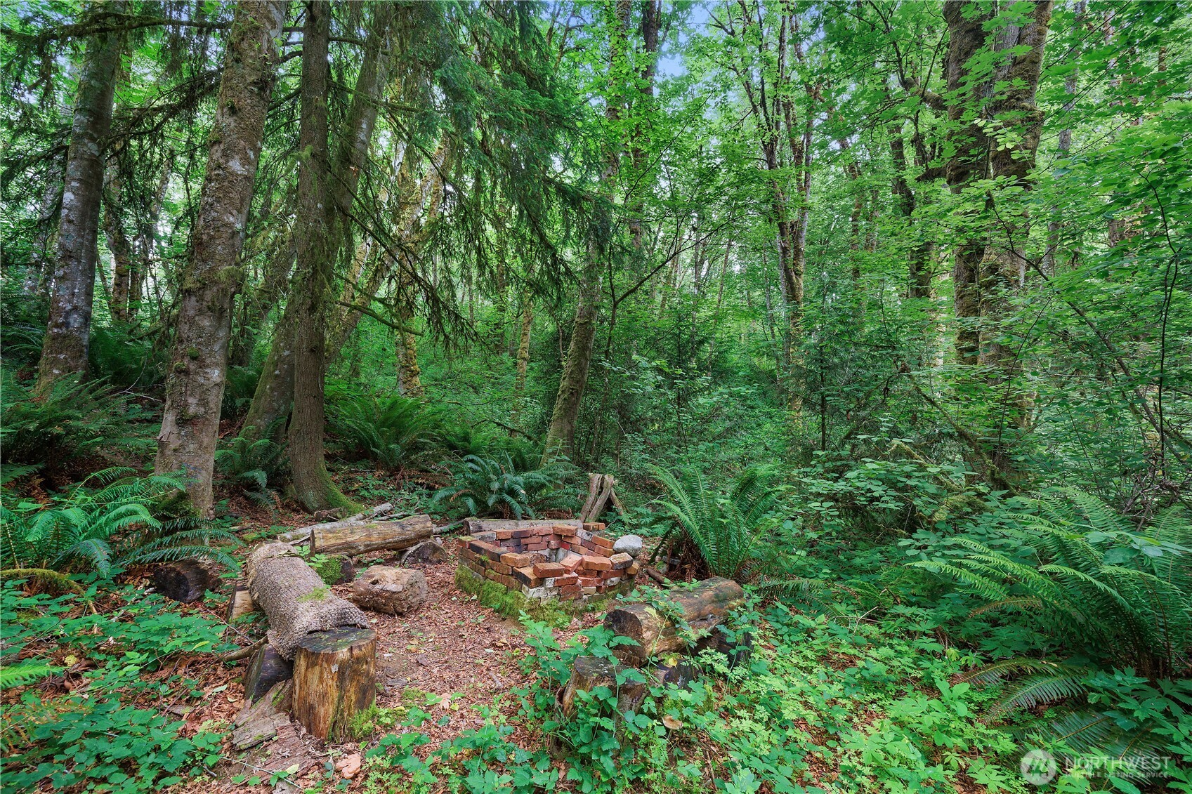 1511 Fairview Street Property Photo 3