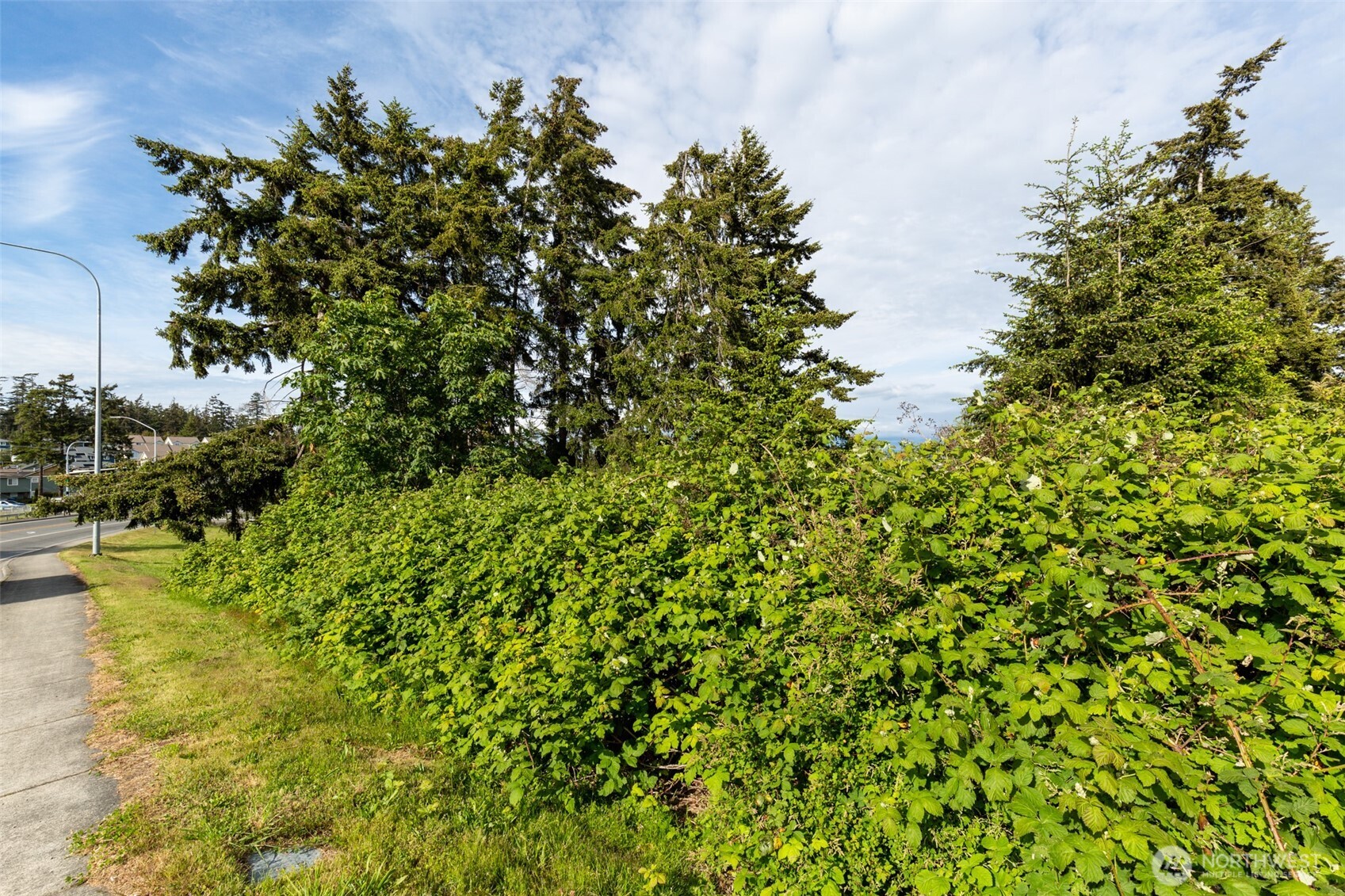 0 Xxx State Route 20 (lot 4) Property Photo 28