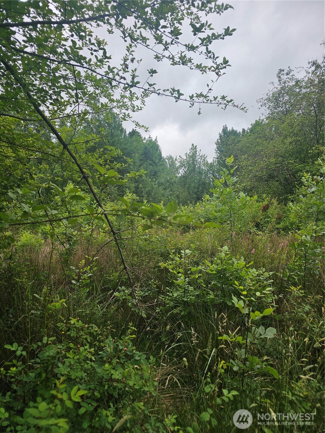 565 Oyler Road Property Photo 4