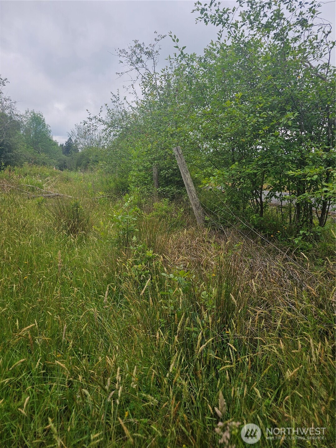 565 Oyler Road Property Photo 5