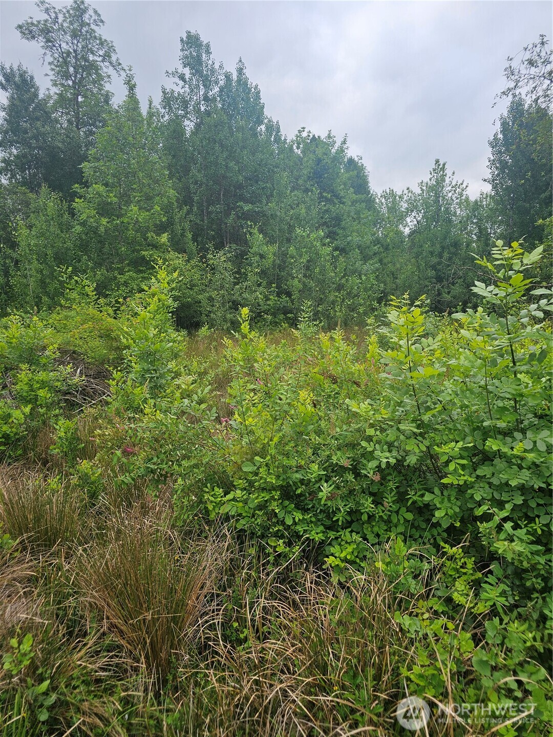 565 Oyler Road Property Photo 6