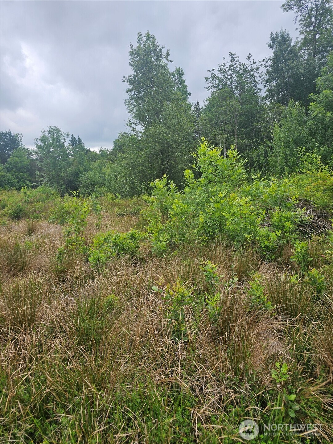 565 Oyler Road Property Photo 8