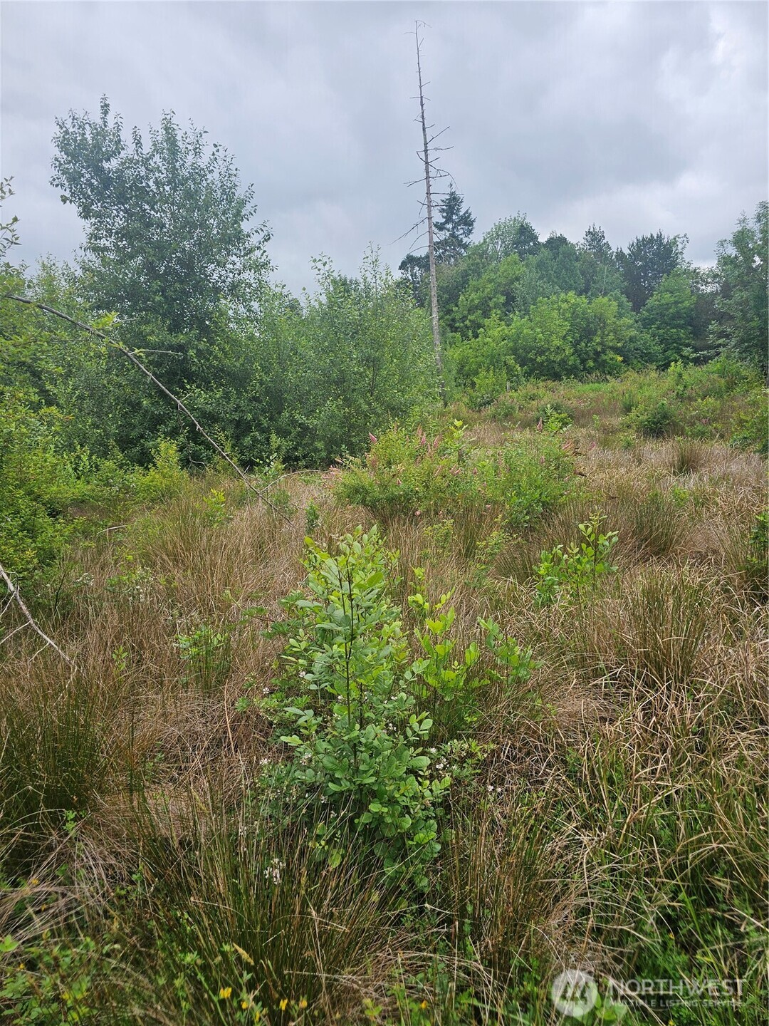 565 Oyler Road Property Photo 9