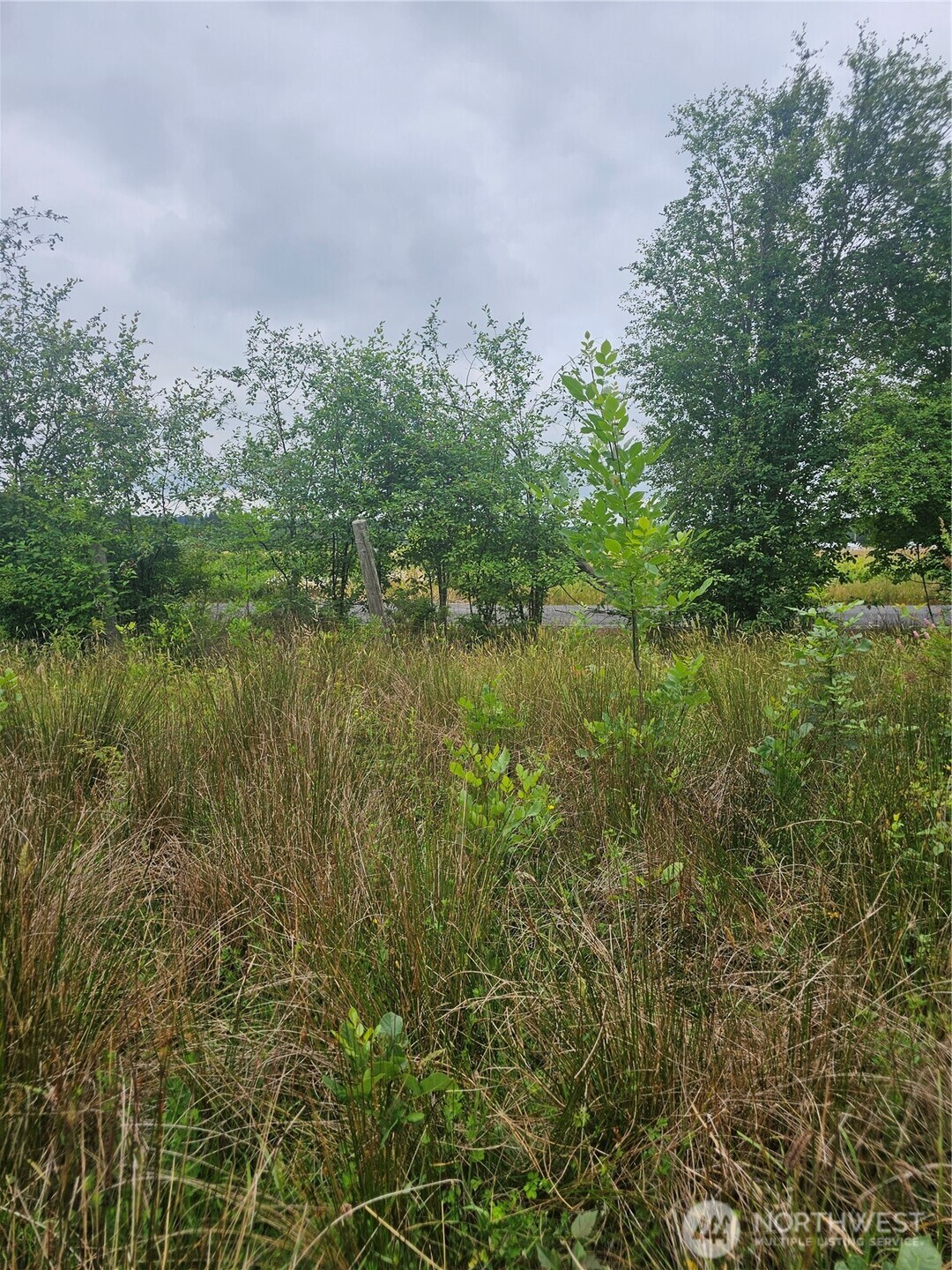 565 Oyler Road Property Photo 9
