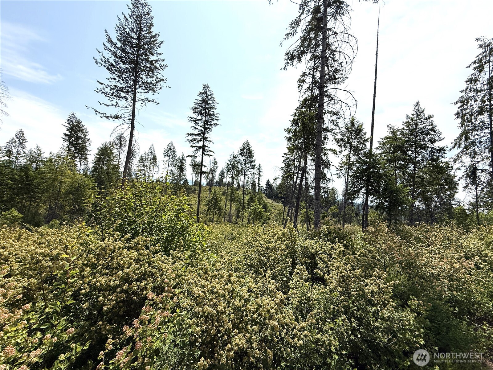 0 Lot 1 Rockabye Lane Property Photo 2