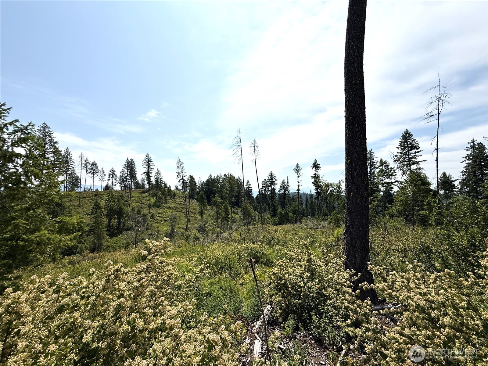 0 Lot 1 Rockabye Lane Property Photo 3