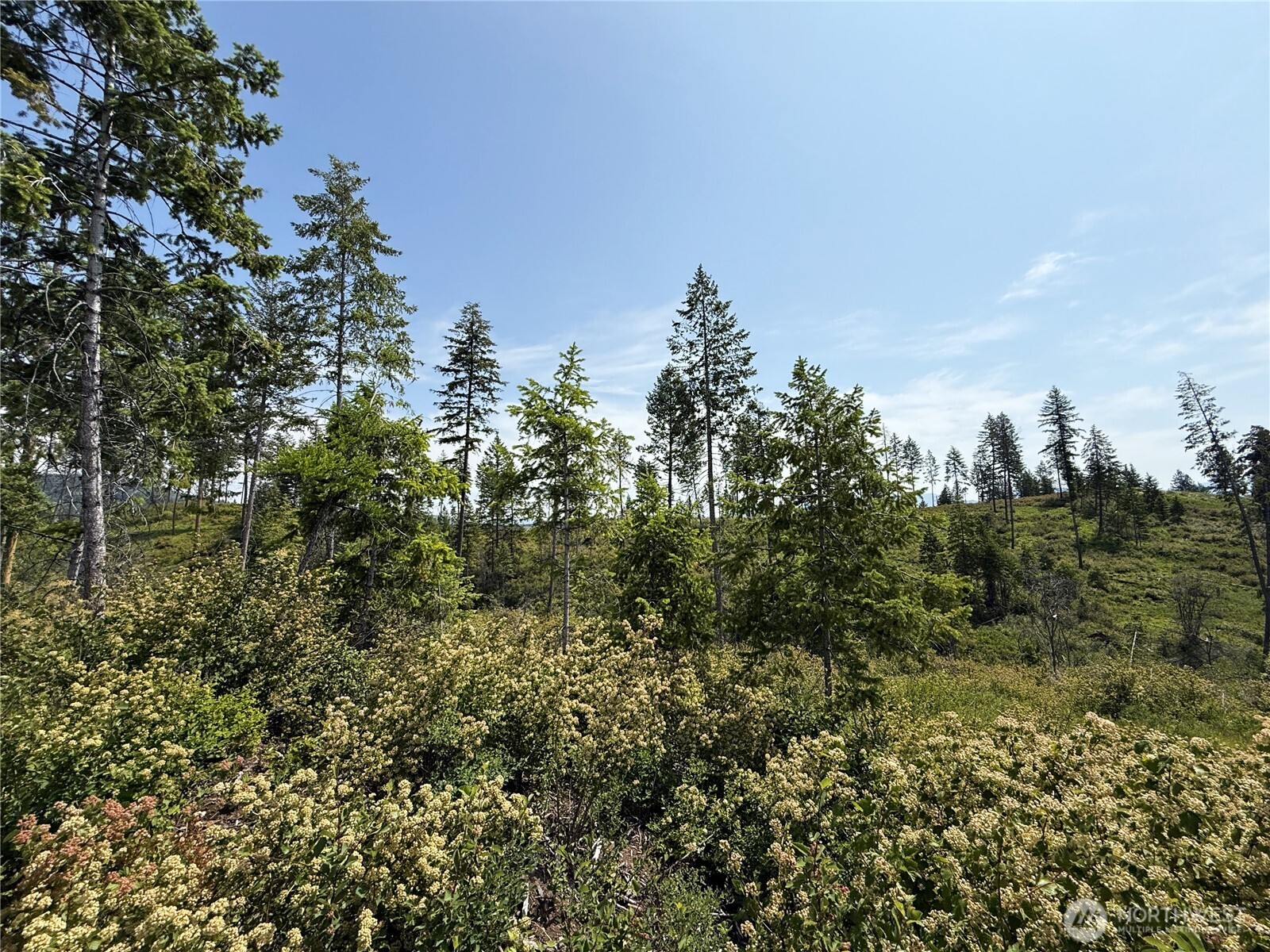 0 Lot 1 Rockabye Lane Property Photo 4