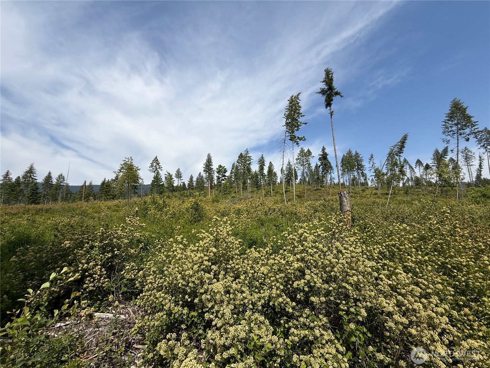 0 Lot 1 Rockabye Lane Property Photo 5