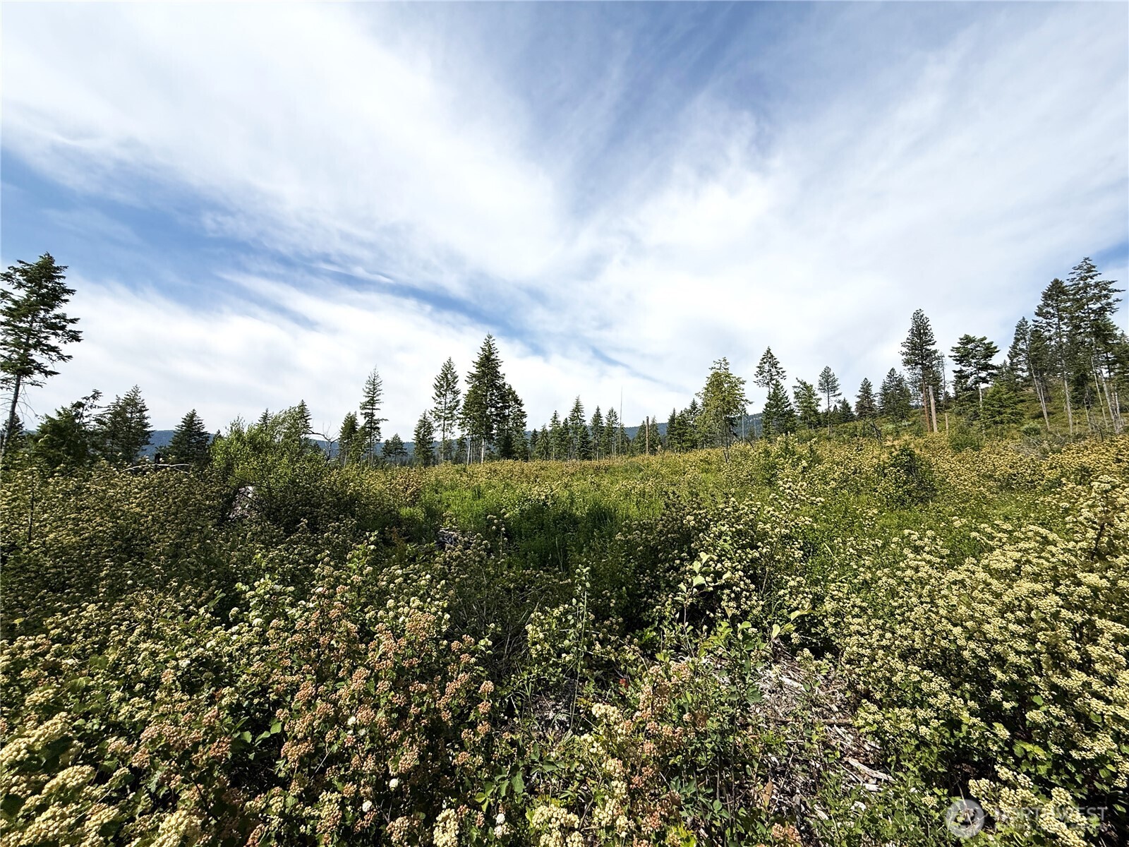 0 Lot 1 Rockabye Lane Property Photo 6