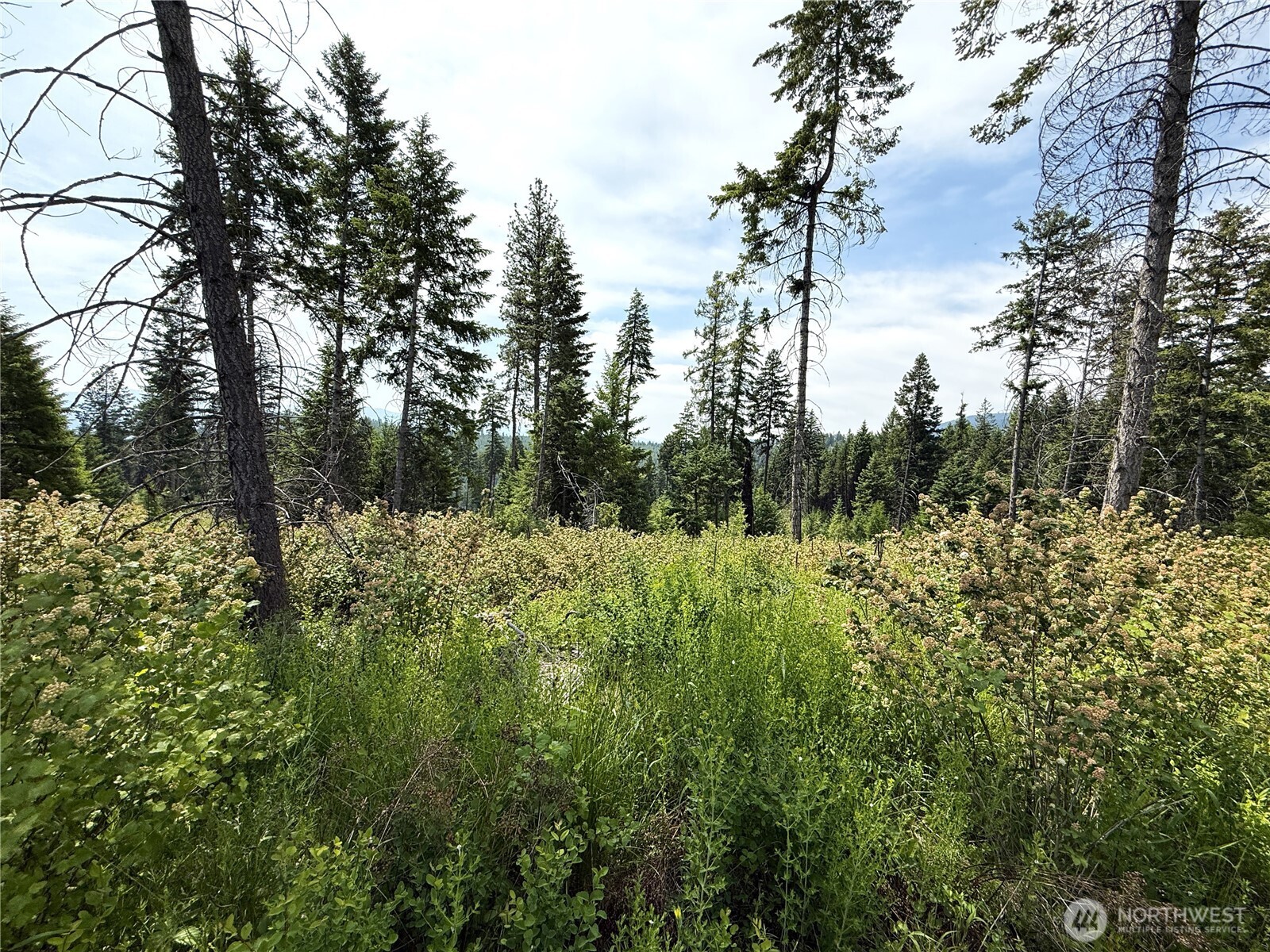 0 Lot 1 Rockabye Lane Property Photo 7