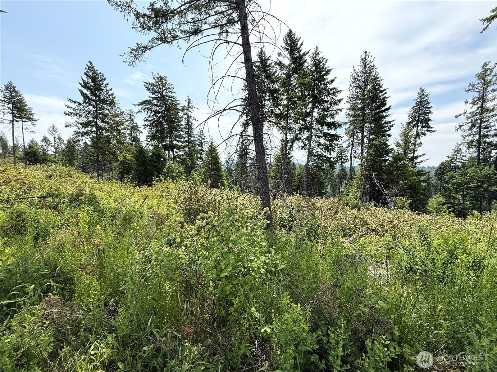 0 Lot 1 Rockabye Lane Property Photo 8