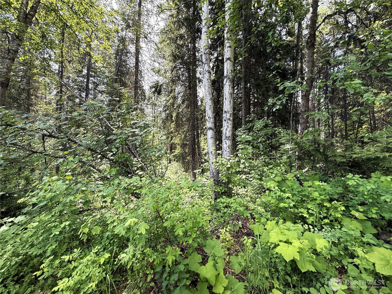 0 Lot 2 Rockabye Lane Property Photo 3