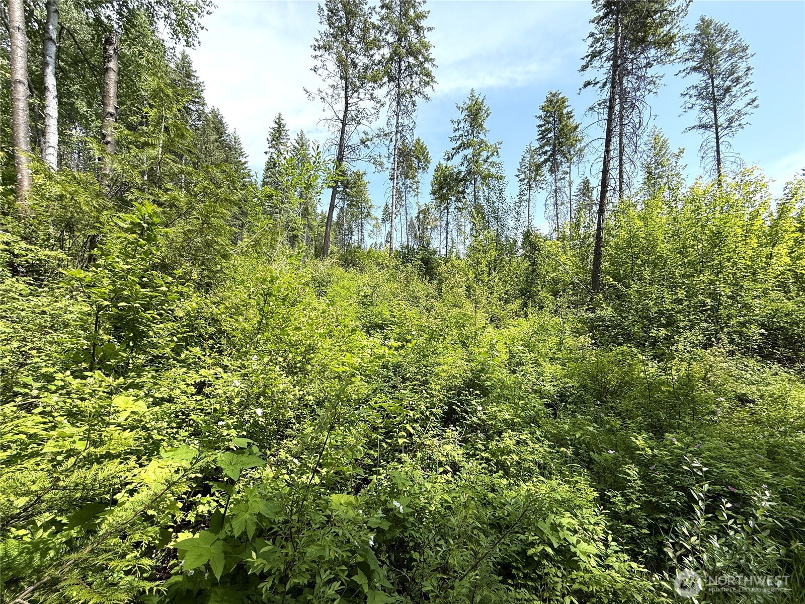 0 Lot 2 Rockabye Lane Property Photo 4