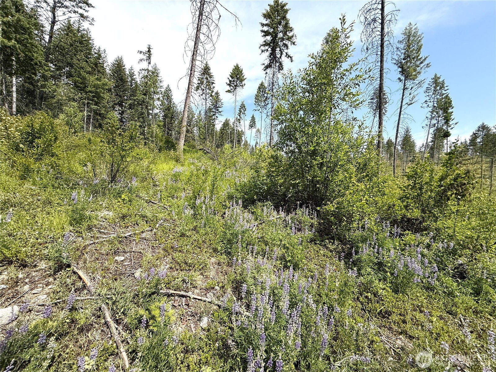 0 Lot 2 Rockabye Lane Property Photo 5