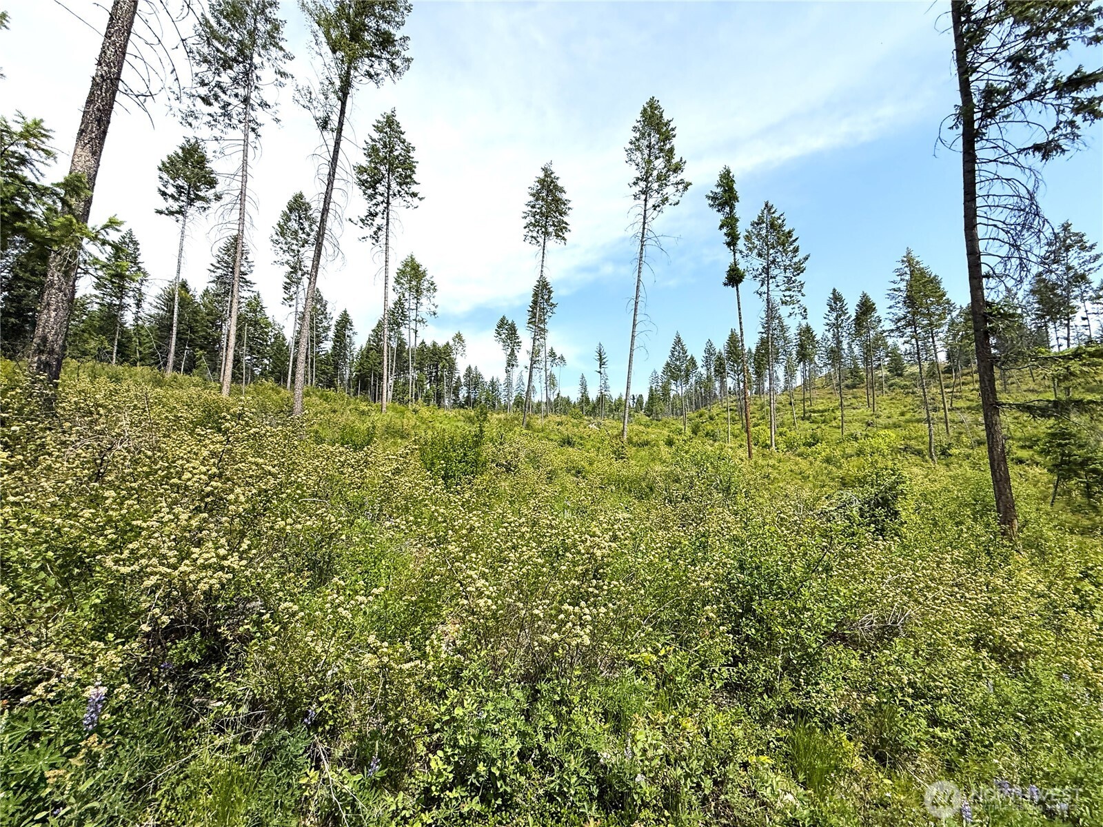 0 Lot 2 Rockabye Lane Property Photo 7