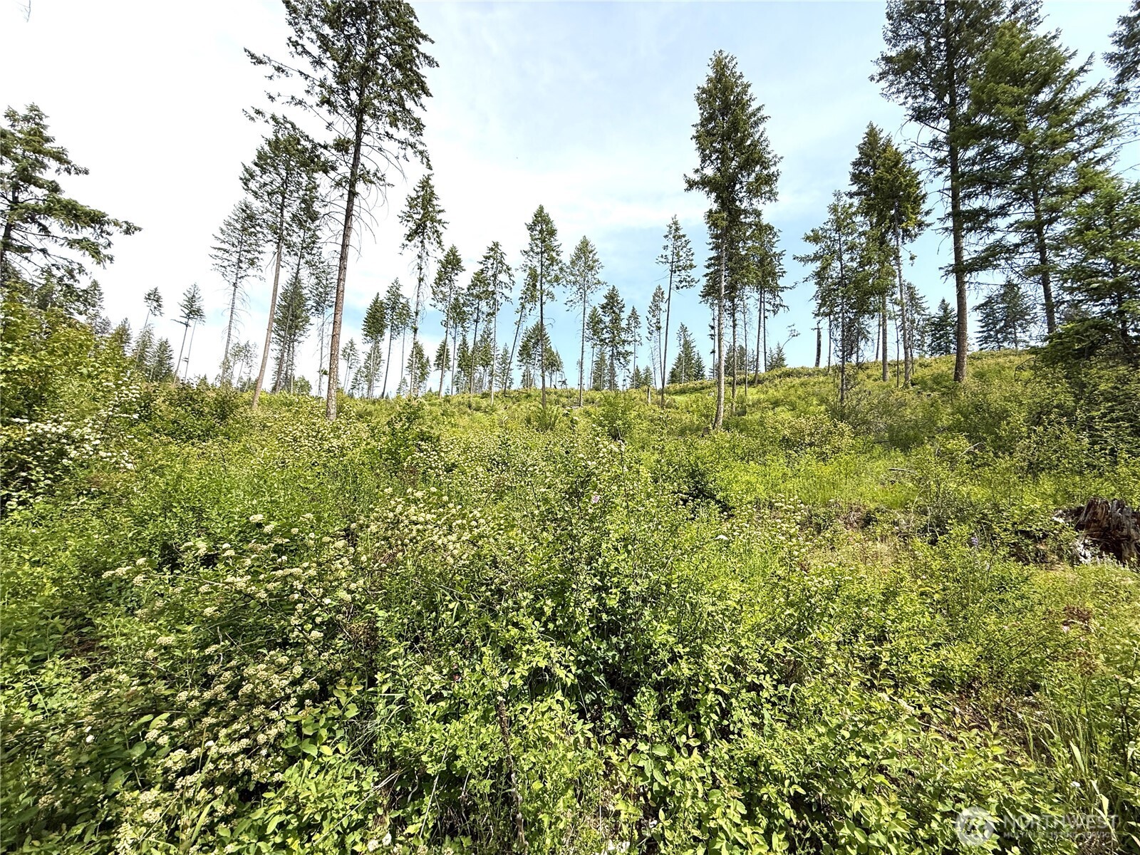 0 Lot 2 Rockabye Lane Property Photo 8