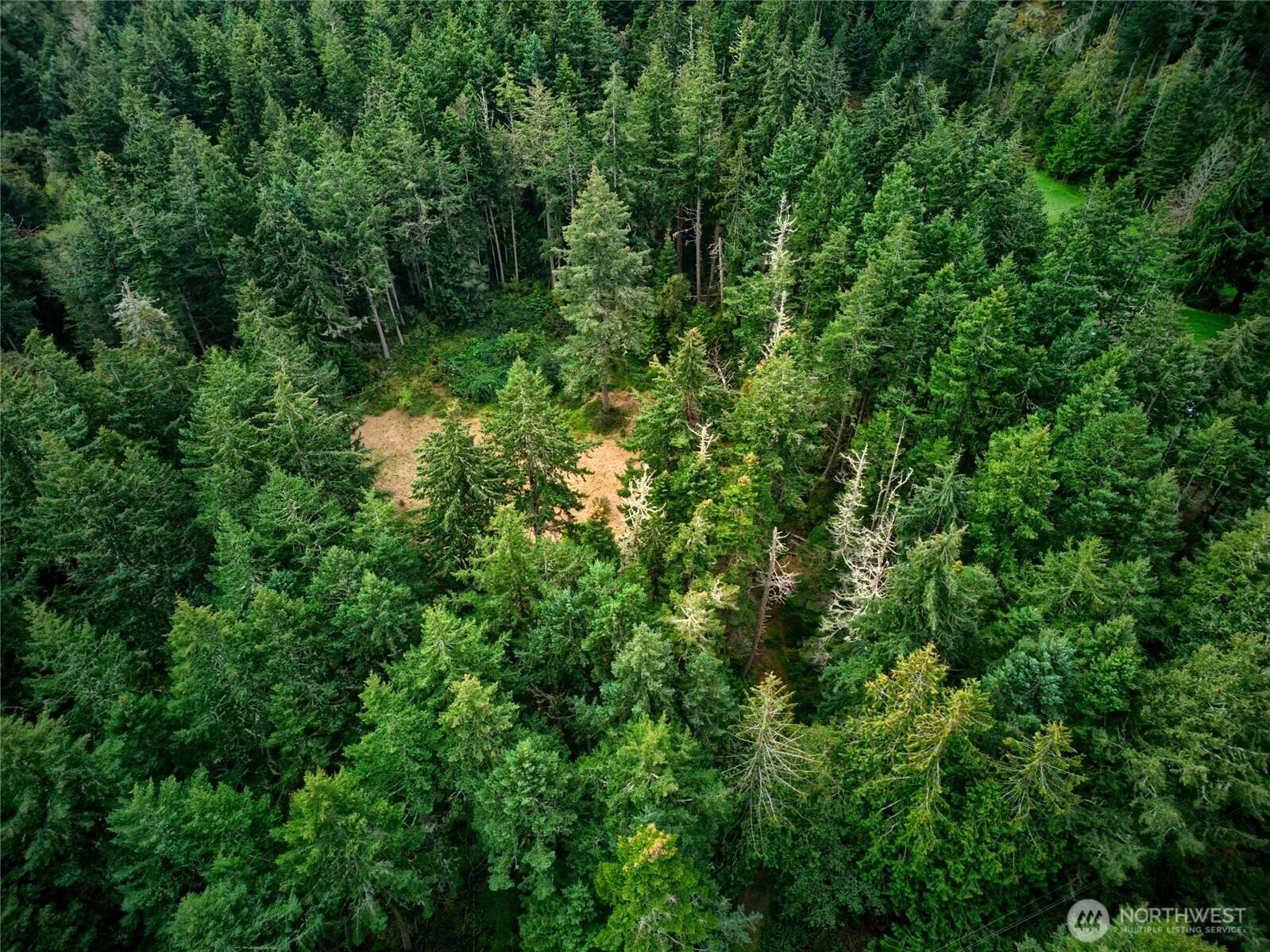 3596 Green Cliffs Road Property Photo 1