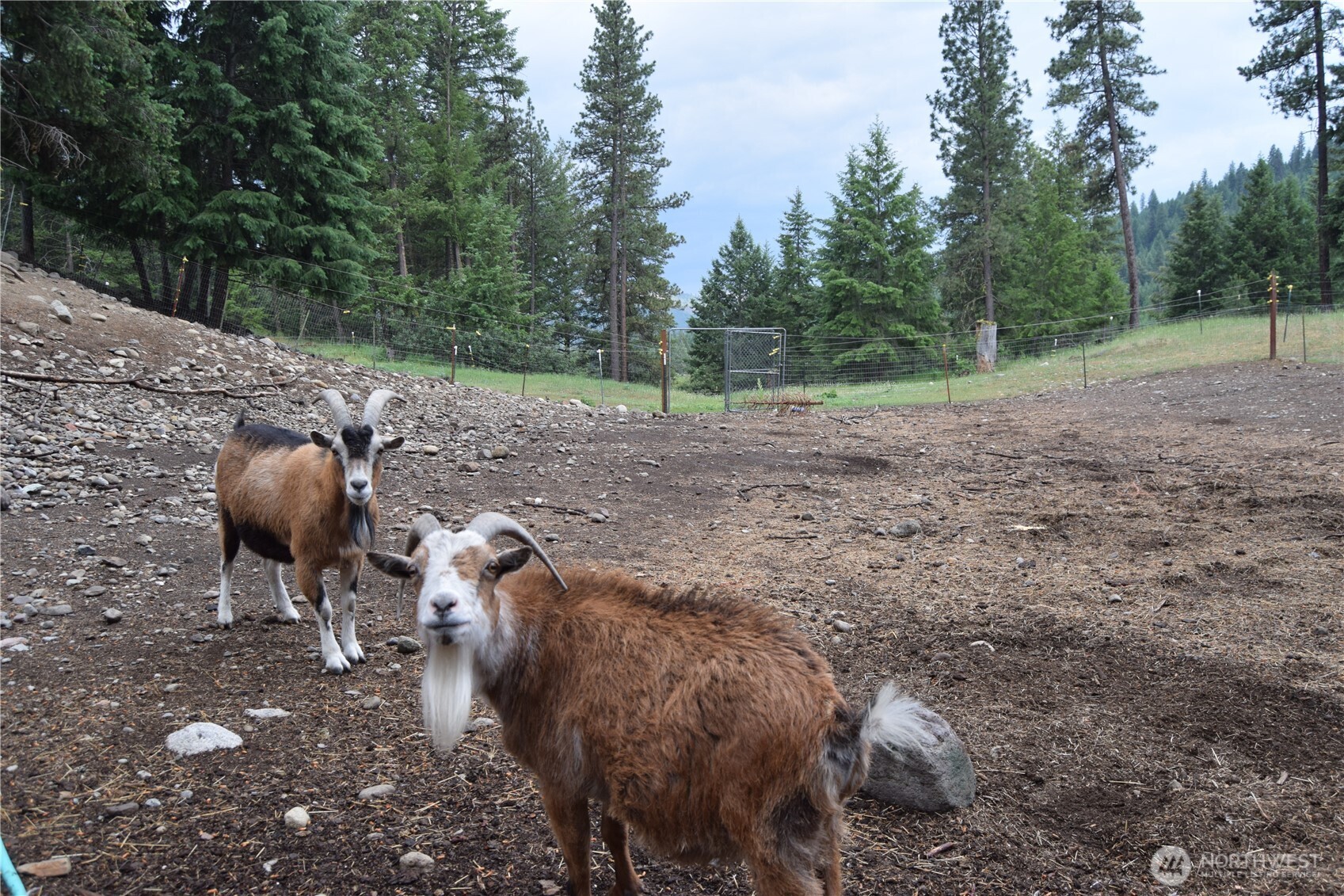 621 S Erdman Property Photo 23