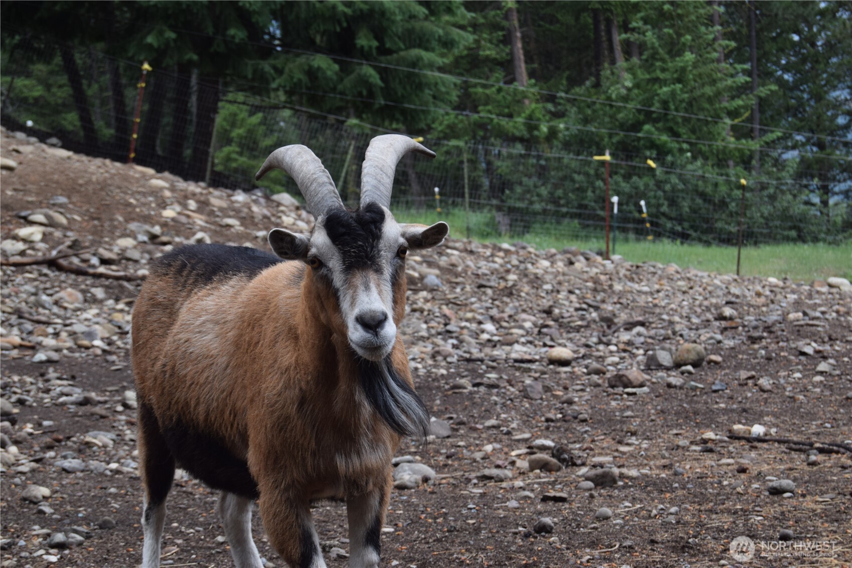 621 S Erdman Property Photo 29