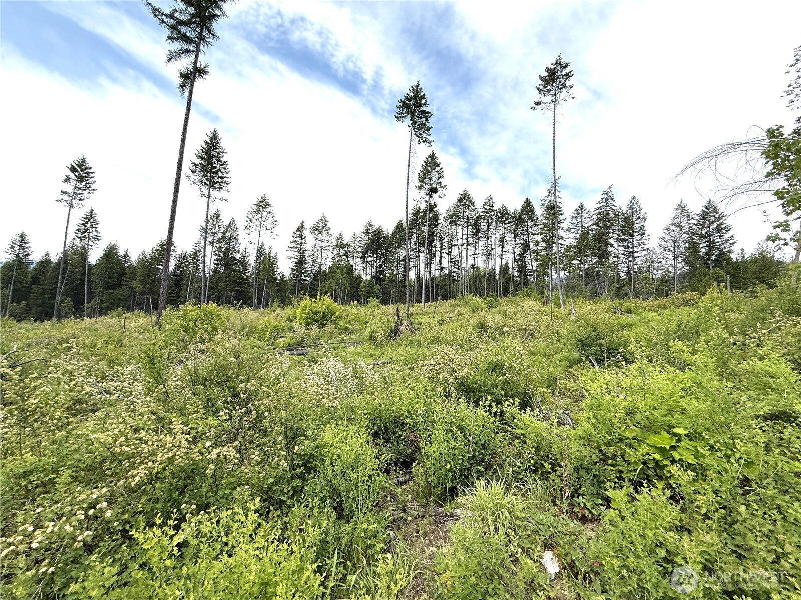 0 Lot 4 Rockabye Lane Property Photo 1