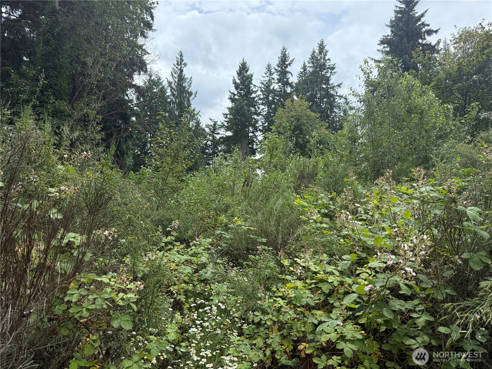 3219 Auburn Way Property Photo 1