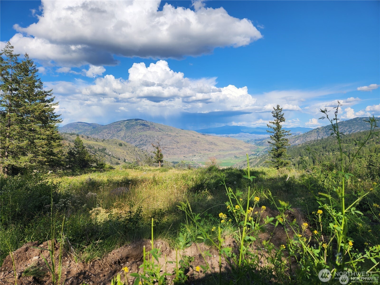 350 Tbd Toats Coulee Road Property Photo 1