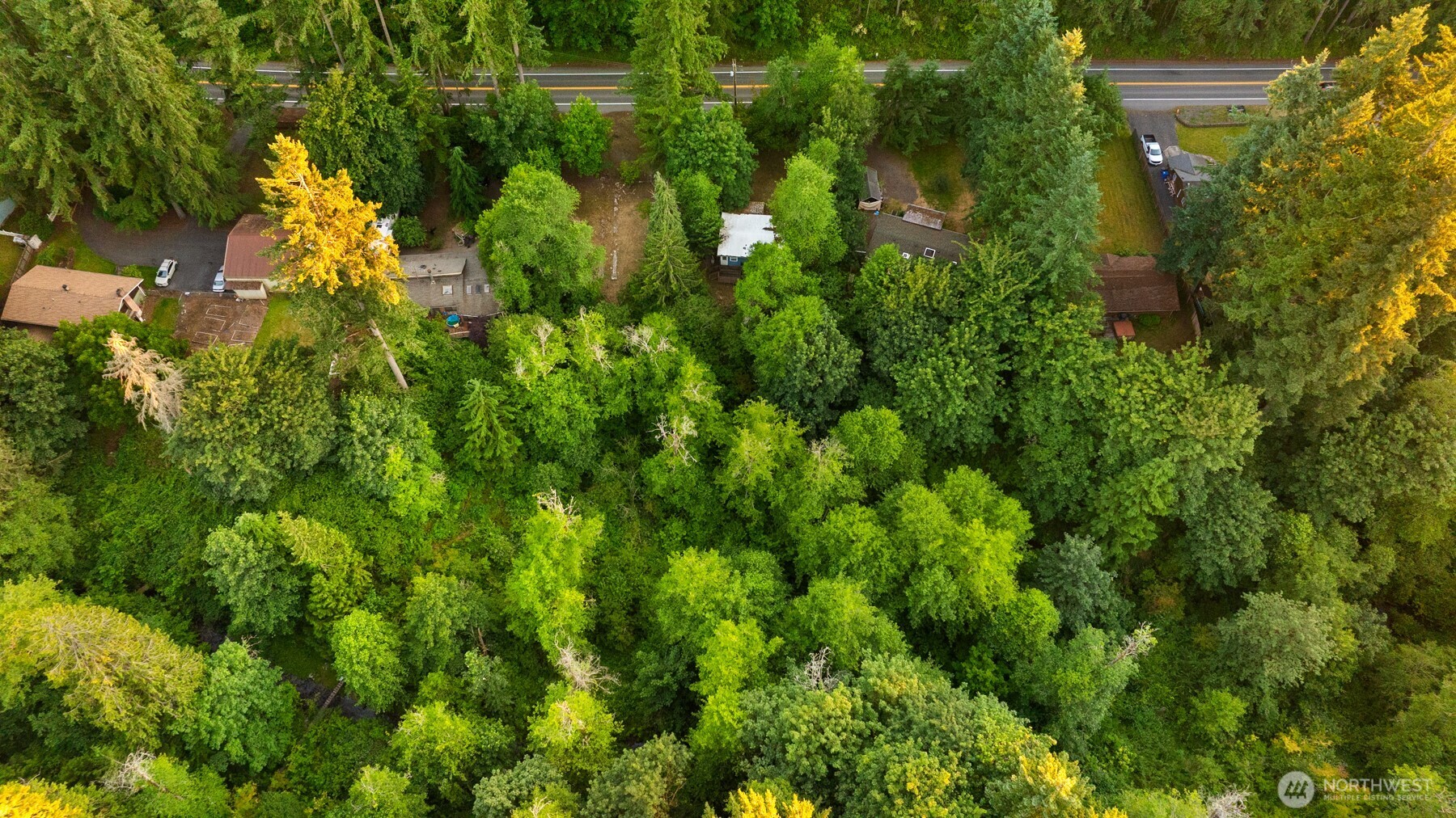 17029 Auburn Black Diamond Property Photo 10