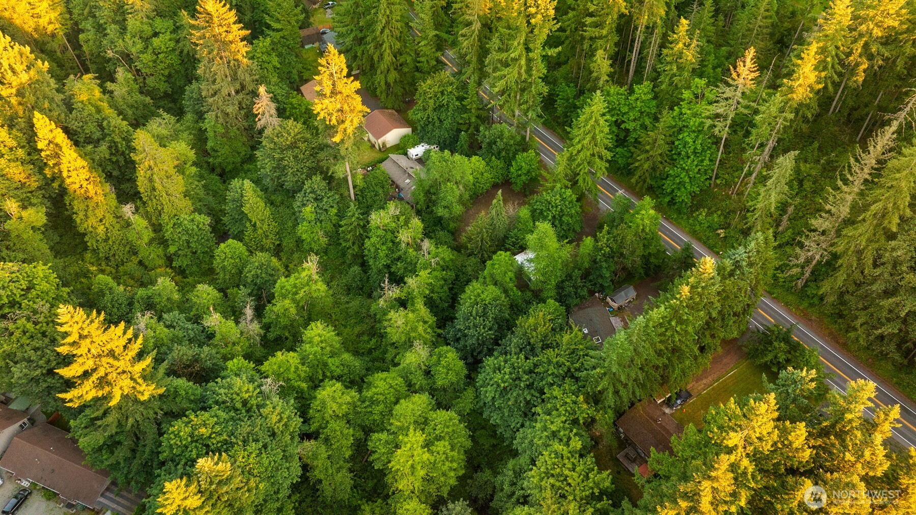 17029 Auburn Black Diamond Property Photo 11