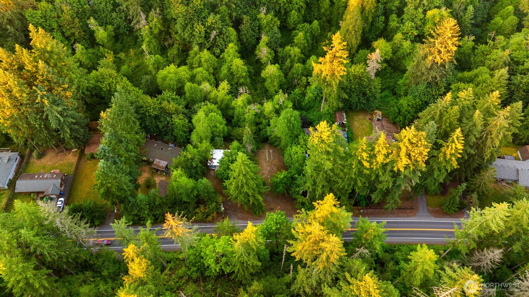 17029 Auburn Black Diamond Property Photo 13