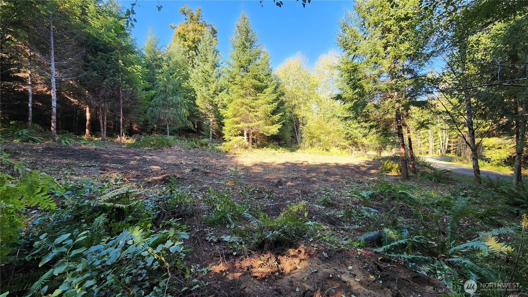 5728 Duane Lane Property Photo 4