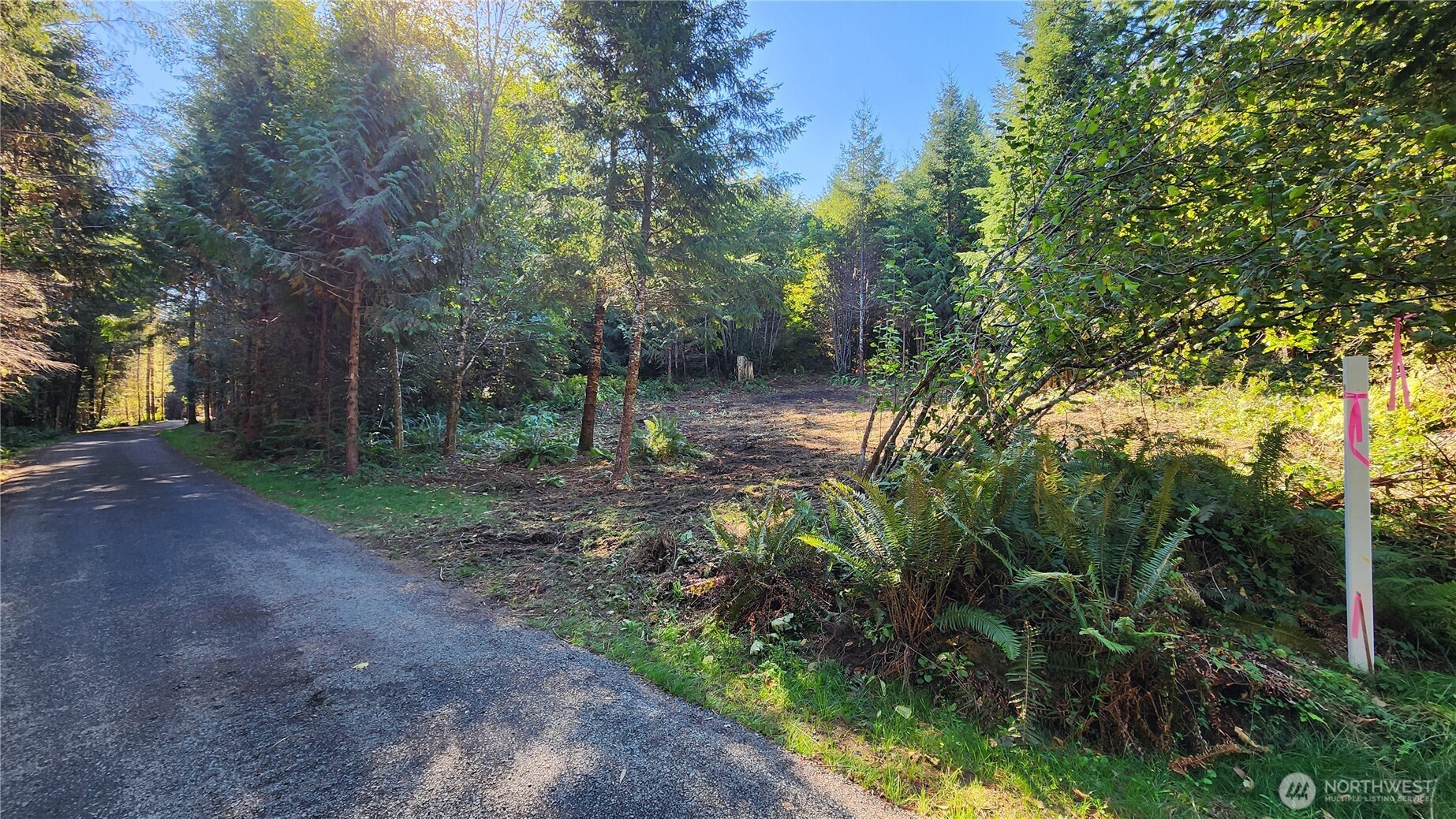 5728 Duane Lane Property Photo 9