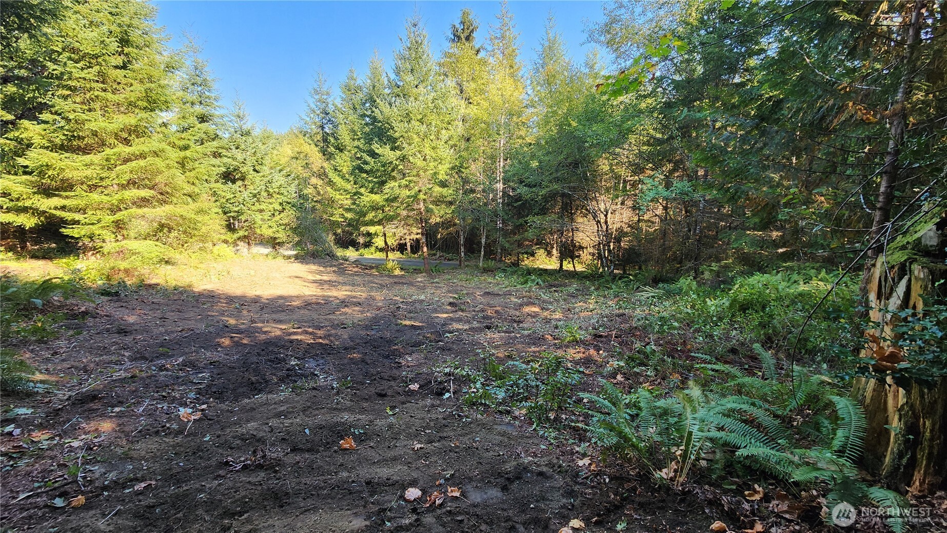 5728 Duane Lane Property Photo 11