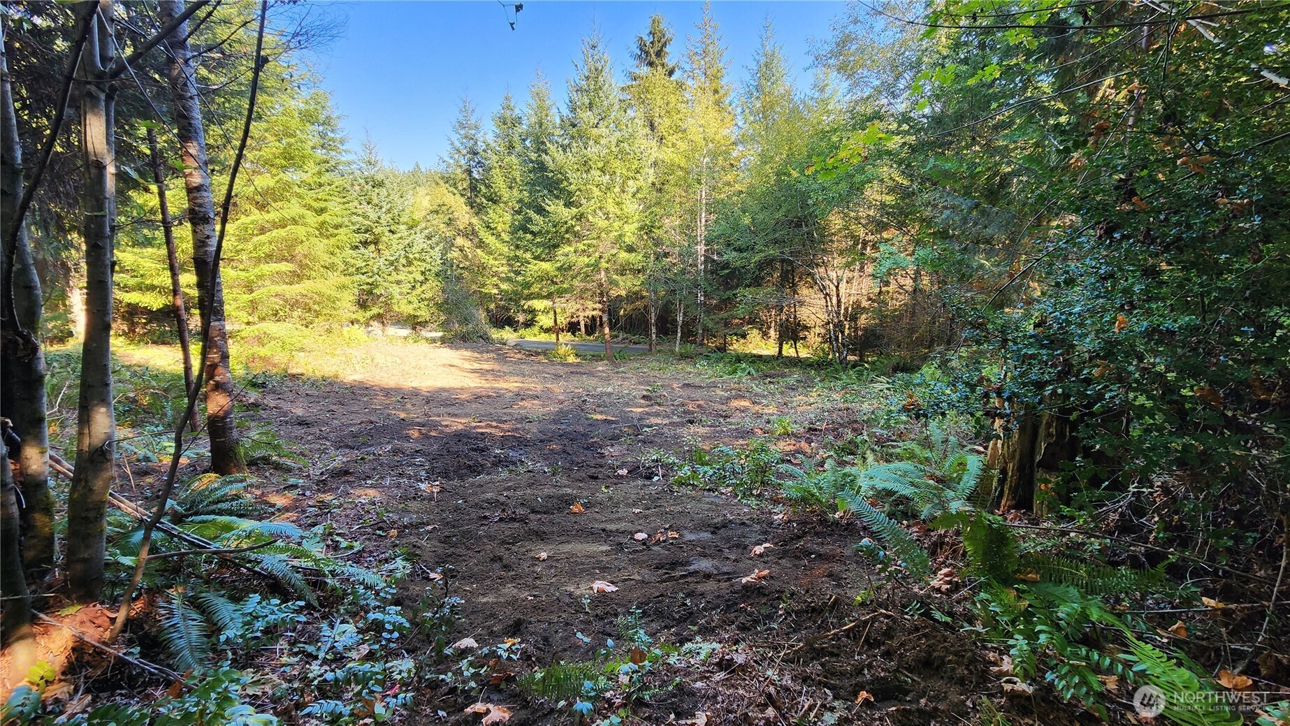 5728 Duane Lane Property Photo 12