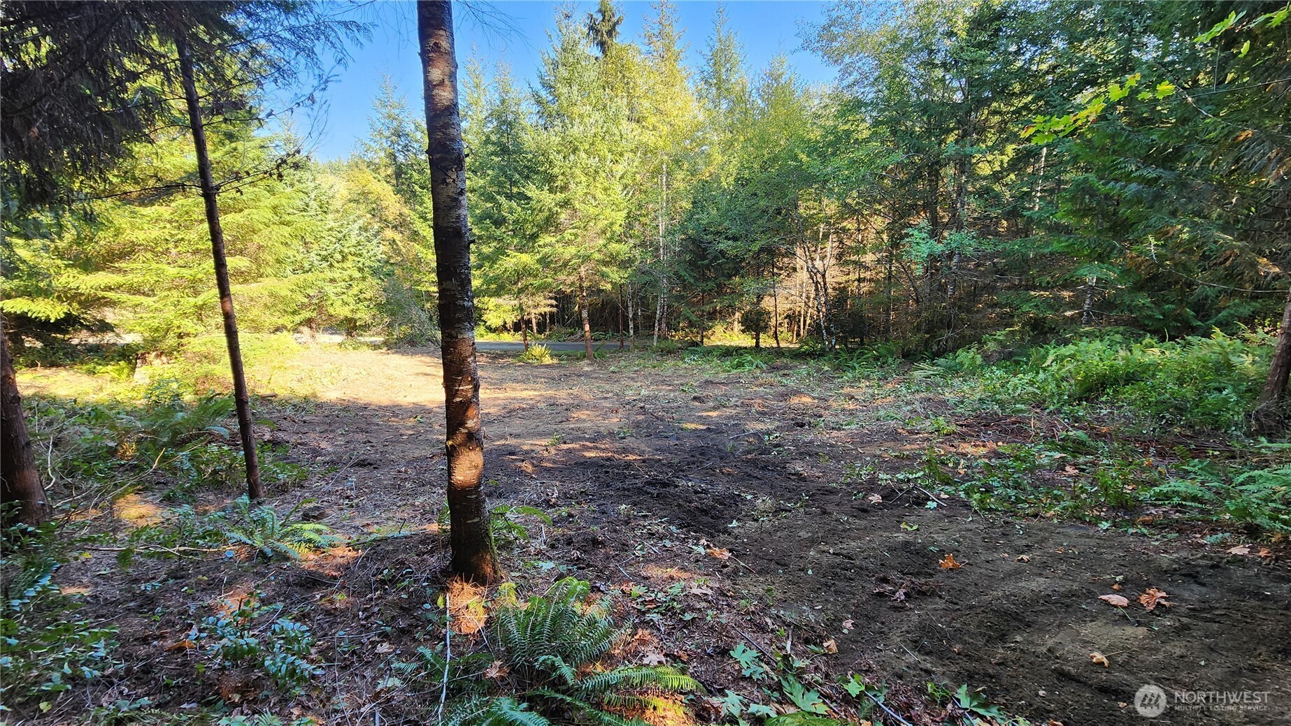 5728 Duane Lane Property Photo 13