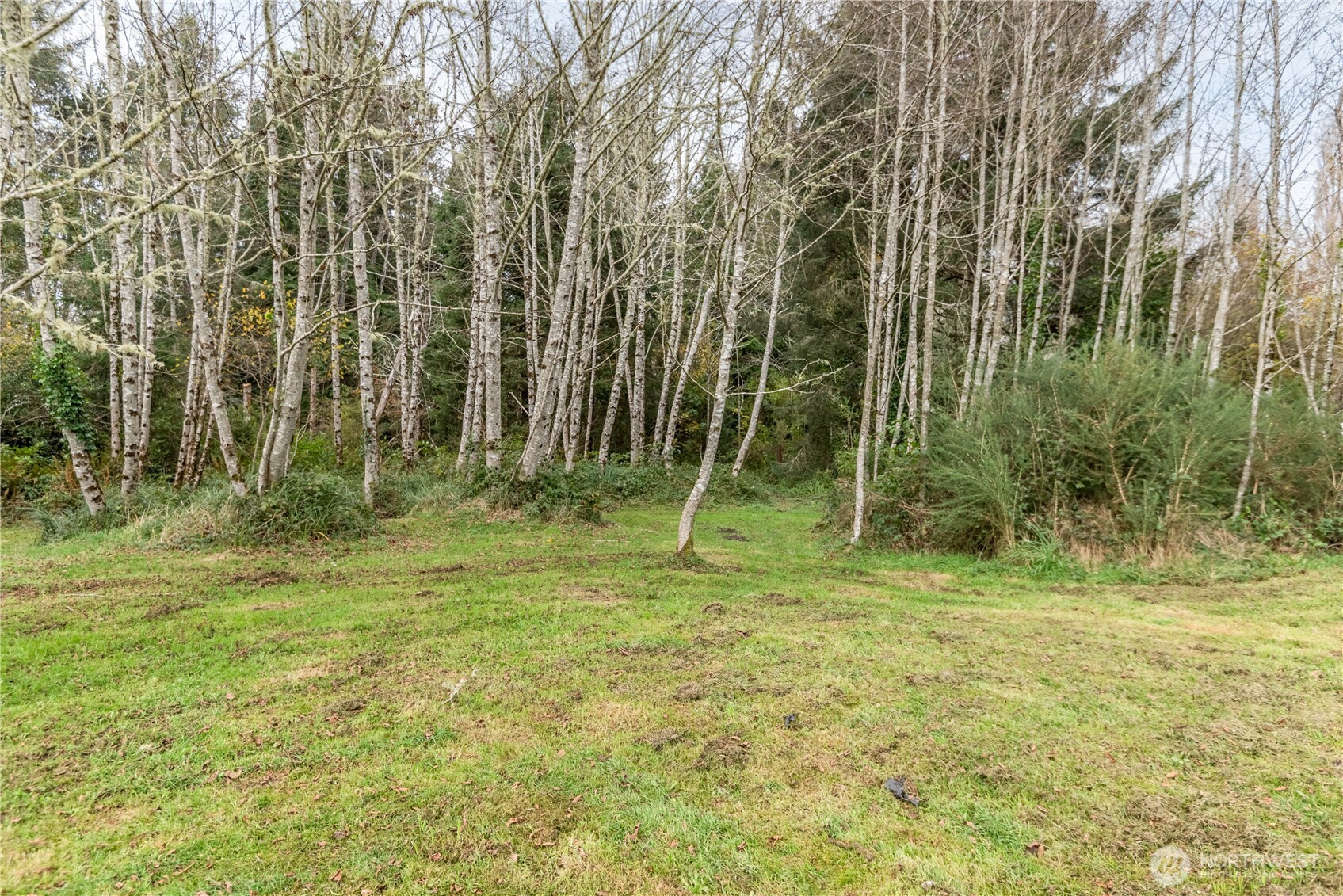 26307 U Street Property Photo 9