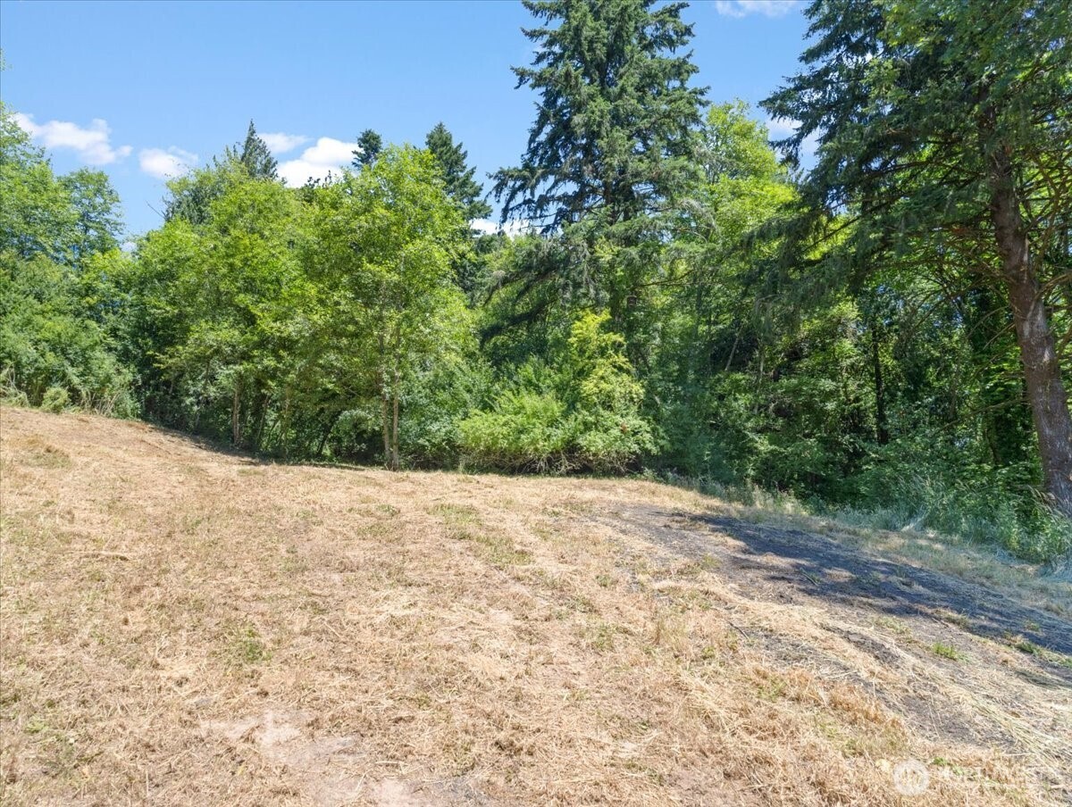 0 Bergly Lane Property Photo 8
