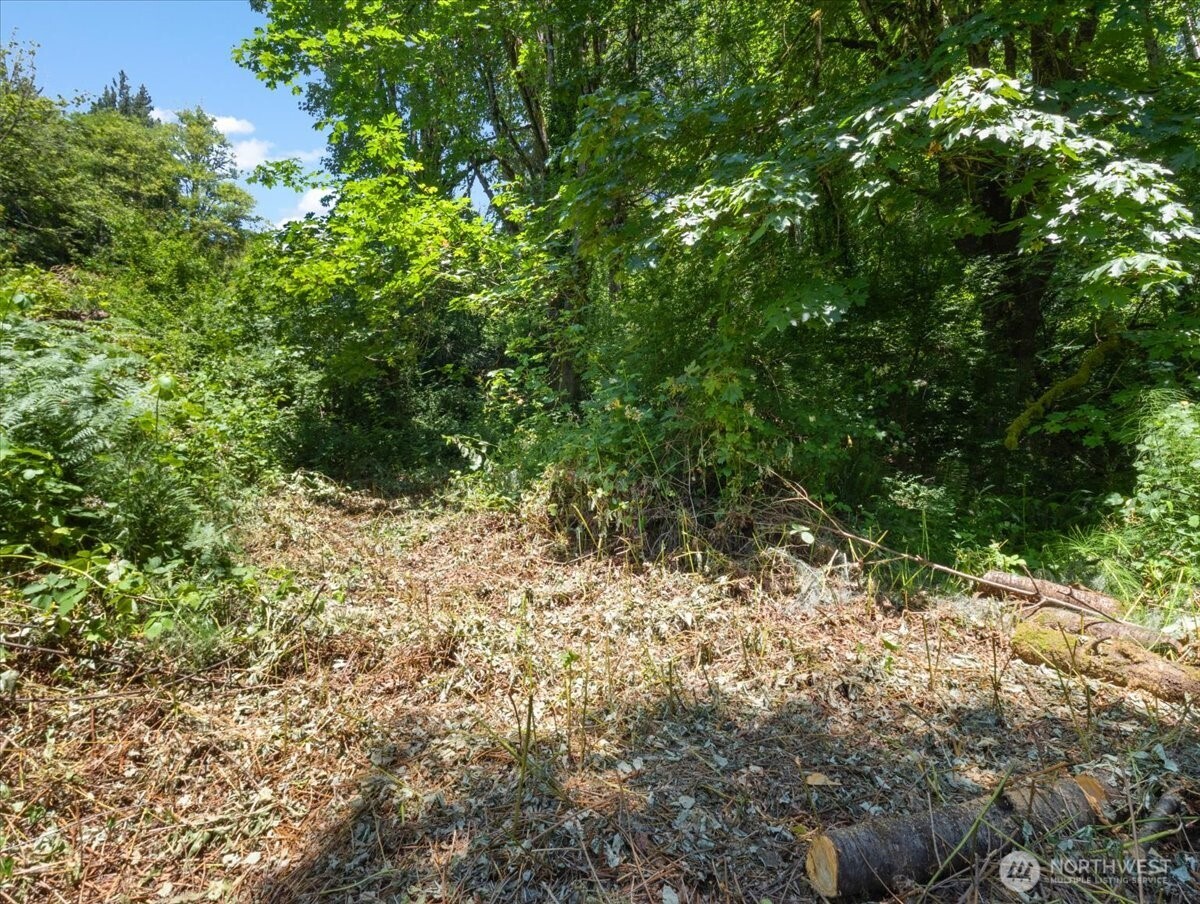 0 Bergly Lane Property Photo 10