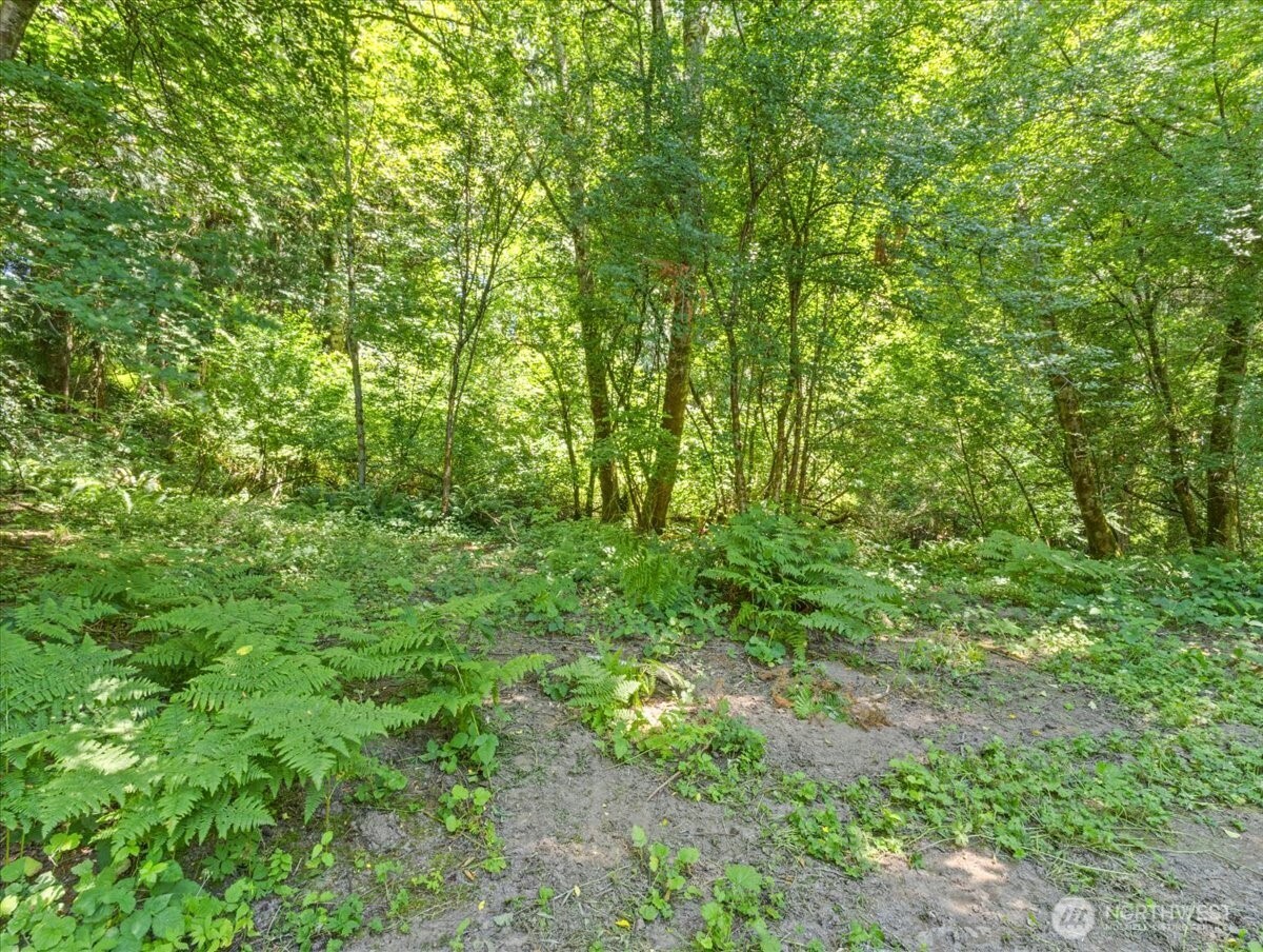 0 Bergly Lane Property Photo 11