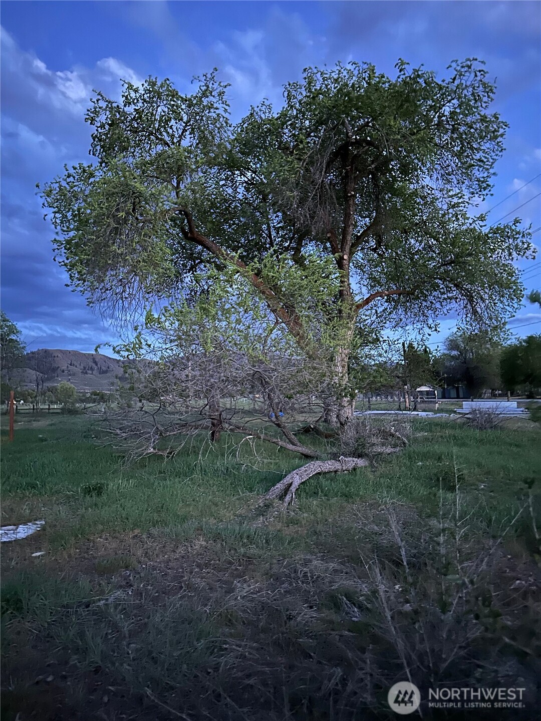 3020 Washington 153 Property Photo 37