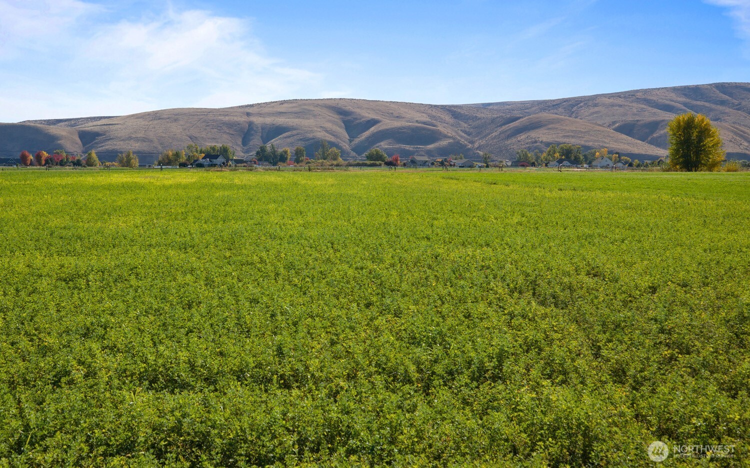 0 Lot 8 Waterbrook Lane Property Photo 3