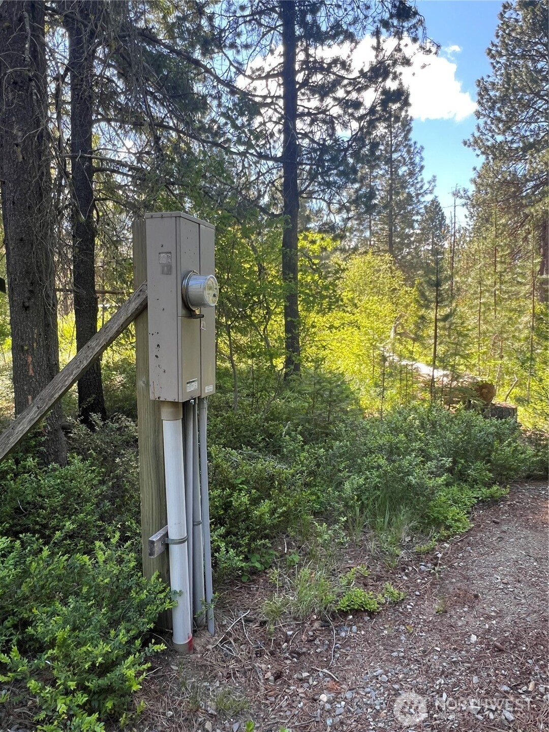 12360 W Shurgart Flats Road Property Photo 19