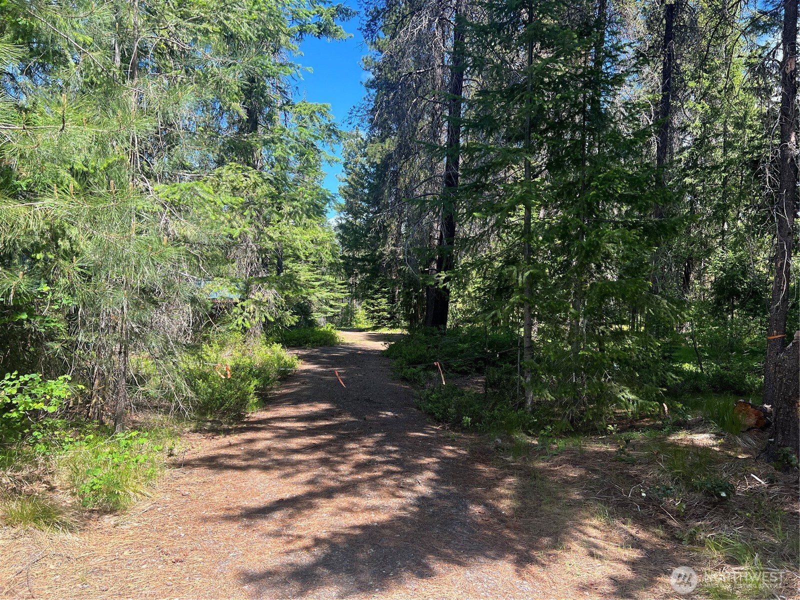 12360 W Shurgart Flats Road Property Photo 23