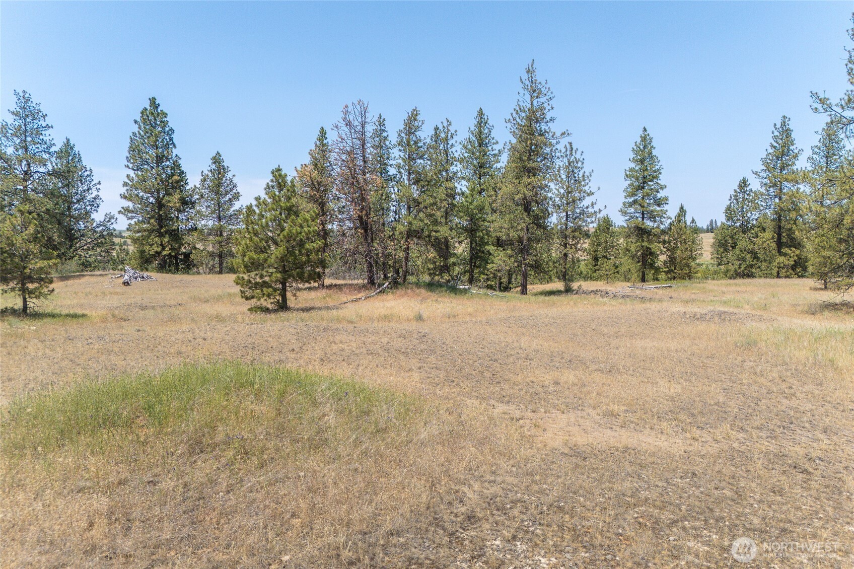 36000 S Bootstrap Ln Lot C Property Photo 6