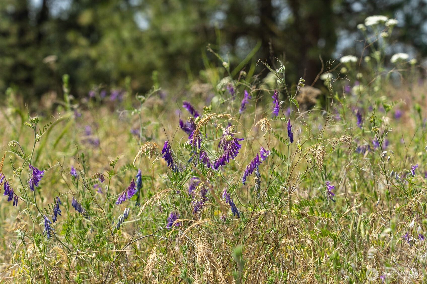 36000 S Bootstrap Ln Lot C Property Photo 12