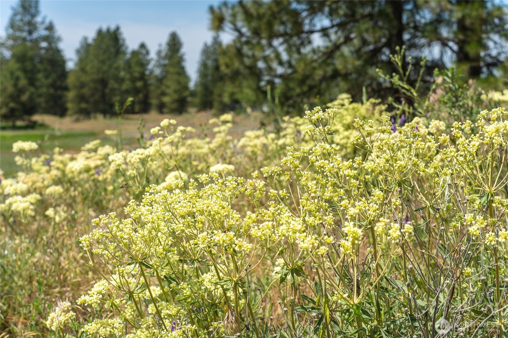 36000 S Bootstrap Ln Lot C Property Photo 13