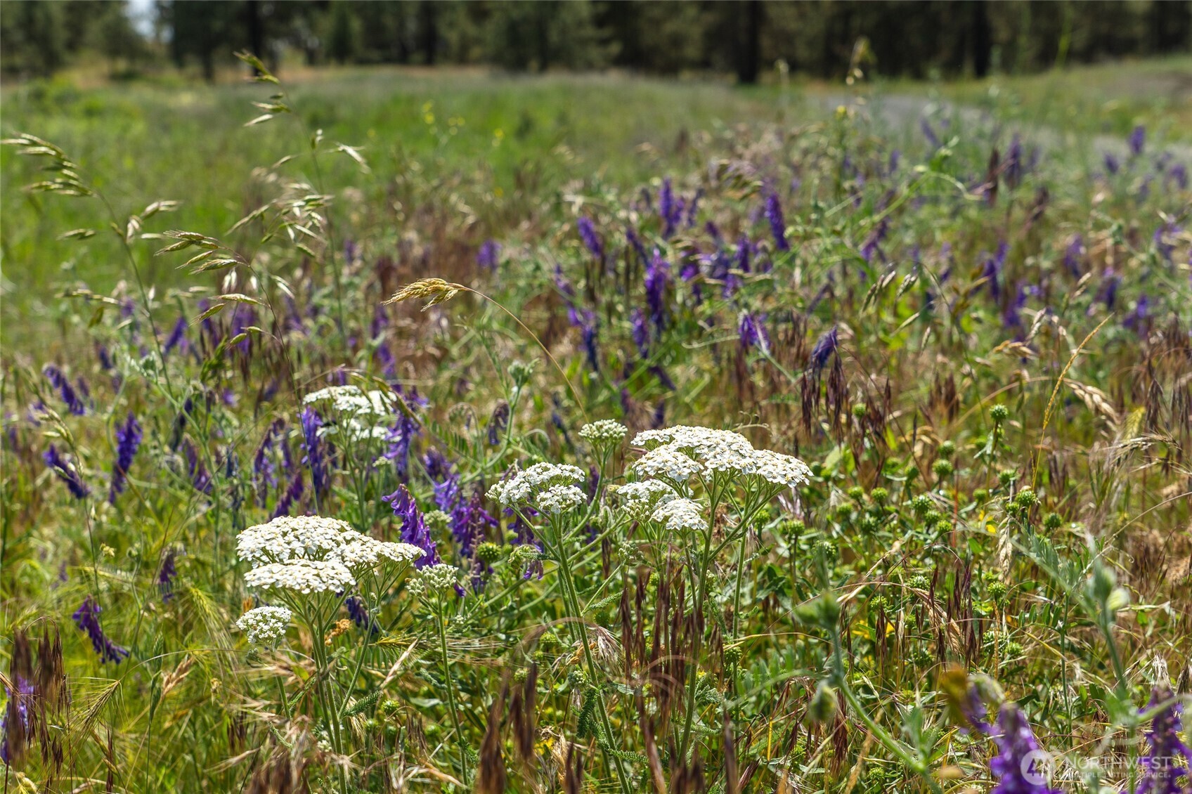 36000 S Bootstrap Ln Lot C Property Photo 14